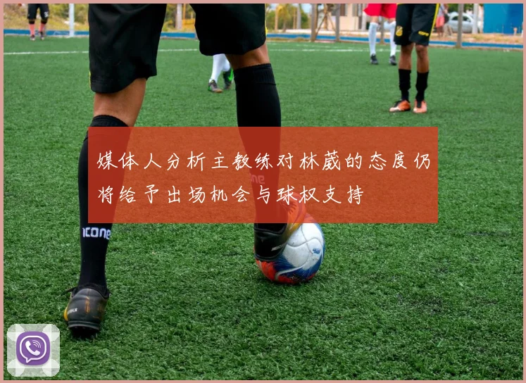 媒体人分析主教练对林葳的态度仍将给予出场机会与球权支持
