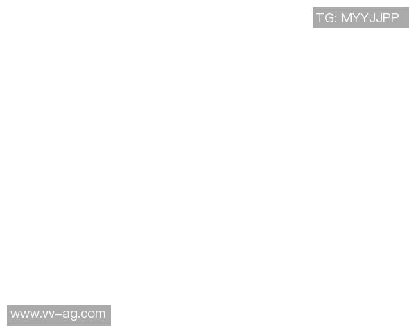 巴萨主席选举定于三月十五日俱乐部未来发展引发广泛关注